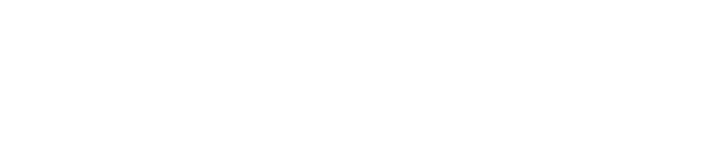 TrueFire Logo